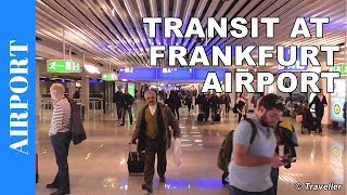 TRANSIT WALK AT FRANKFURT Airport FRA Terminal 1  Connection Flight Transfer Arriving amp Departing [upl. by Hock566]