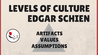 Organizational Culture Edgar Schein [upl. by Iruyas]