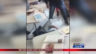 Violent School Fight Erie High School [upl. by Damali]