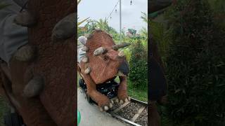 NAIK KERETA DINOSAURUS TRICERATOP BARENG ADEK KAKA [upl. by Cortney]