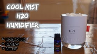 Does This Portable USB H2O Cool Mist Humidifier Actually Work [upl. by Mahsih]