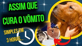 Causas do Vomito ou Regurgitação nos Cães Alimentação Inadequada ou Outras doenças [upl. by Talbert]